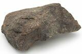 Chondrite Meteorite ( grams) - Western Sahara Desert #226975-1